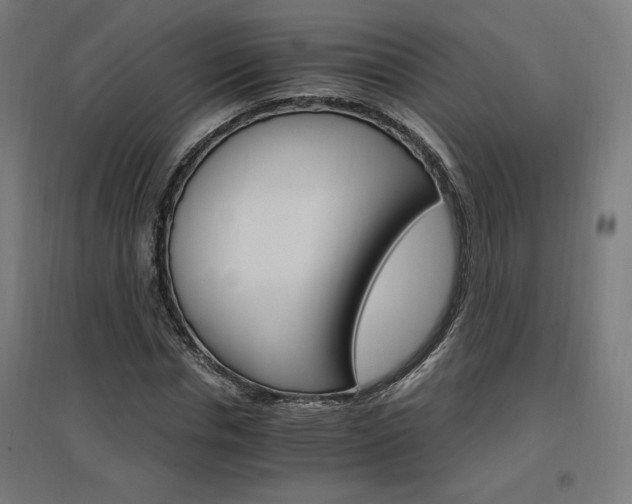X0000096970826200802151306