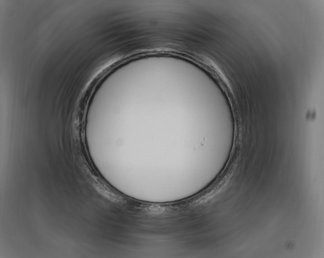 X0000096970827200802151306