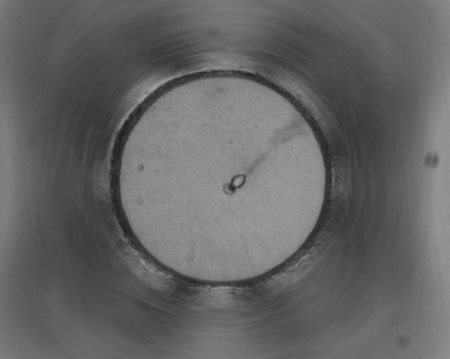 X0000096970828200802151306