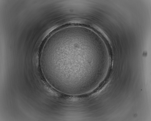 X0000096970829200802151306