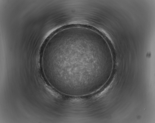 X0000096970830200802151306