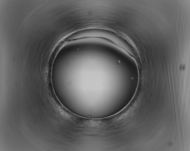 X0000096970831200802151307