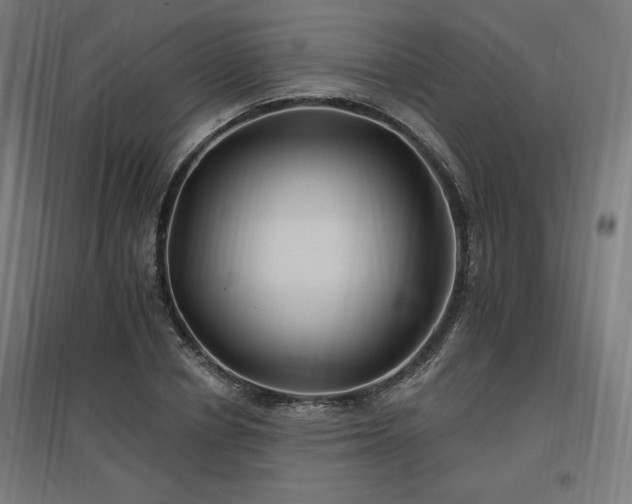 X0000096970834200802151307