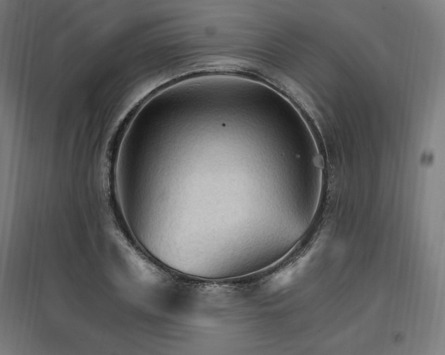 X0000096970835200802151307
