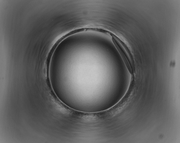 X0000096970838200802151307