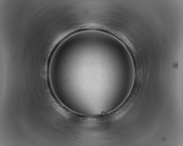 X0000096970839200802151307