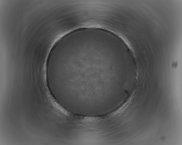 X0000096970840200802151307