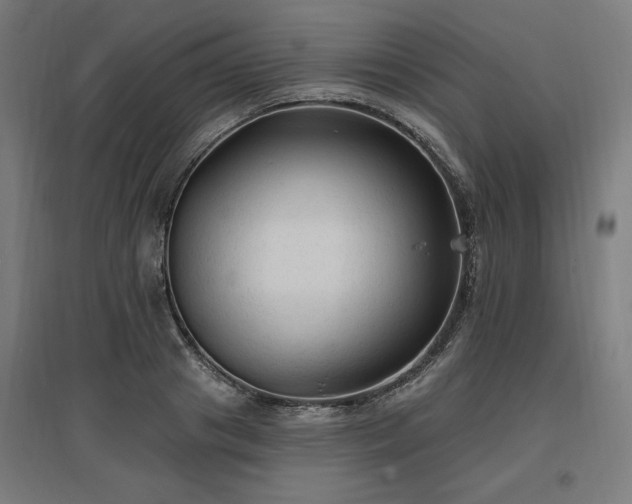 X0000096970841200802151307