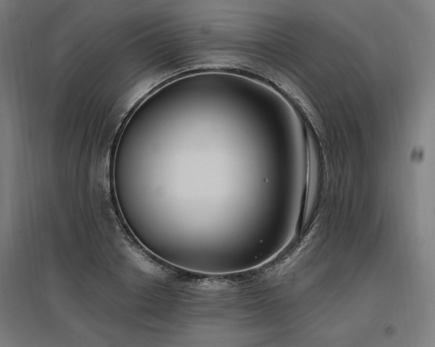 X0000096970842200802151307