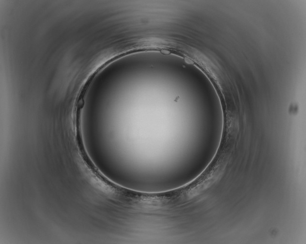 X0000096970843200802151307