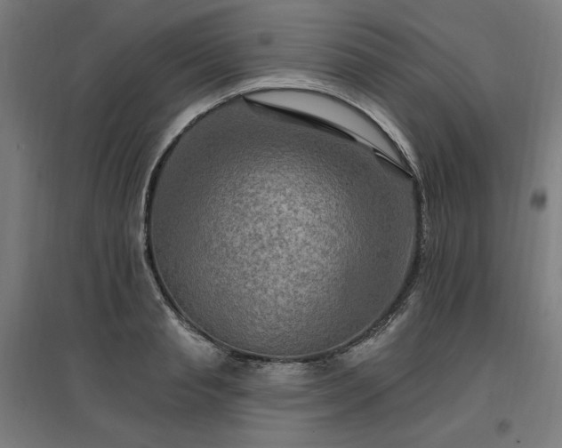 X0000096970845200802151307