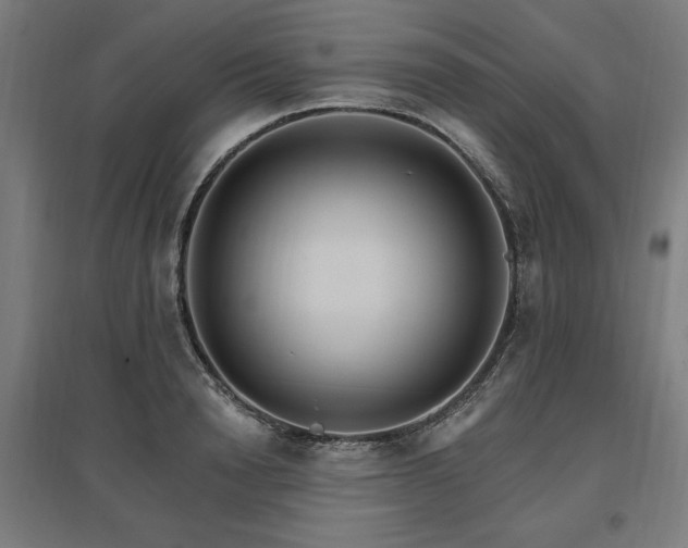 X0000096970846200802151307
