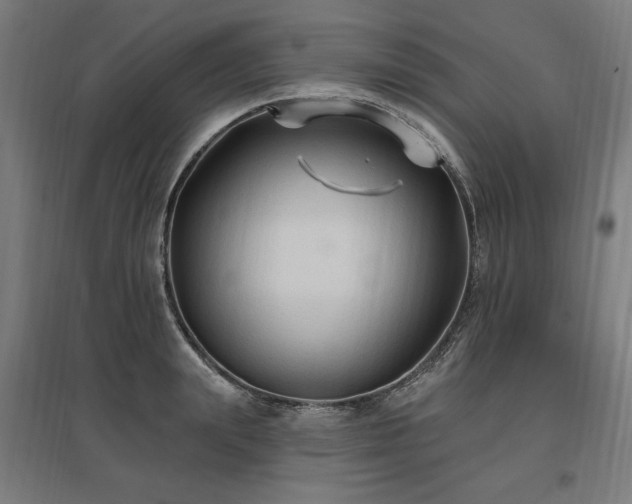 X0000096970847200802151307