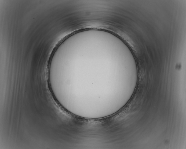 X0000096970848200802151307