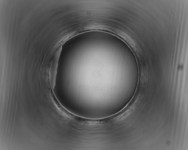 X0000096970849200802151307
