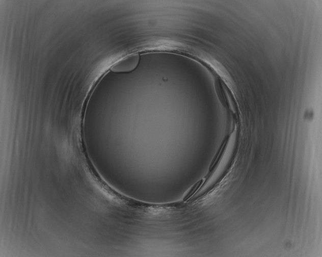 X0000096970850200802151307