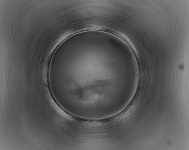 X0000096970851200802151307