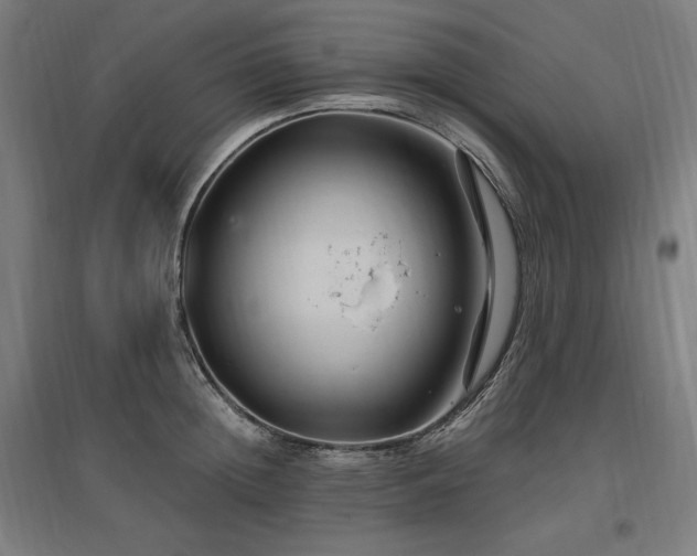 X0000096970852200802151307