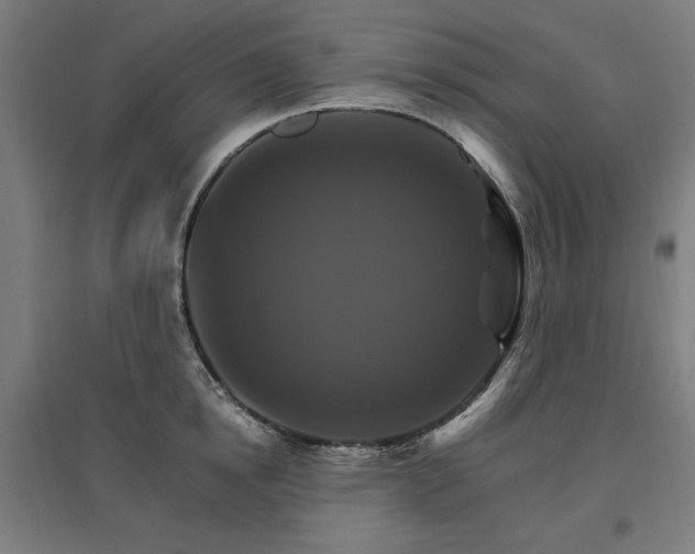 X0000096970854200802151307