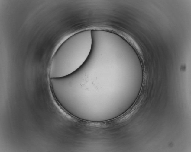 X0000096970855200802151307