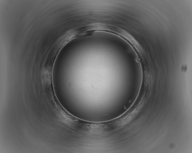 X0000096970857200802151307