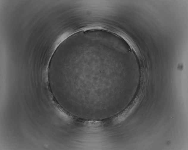 X0000096970858200802151307