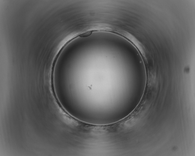 X0000096970861200802151307