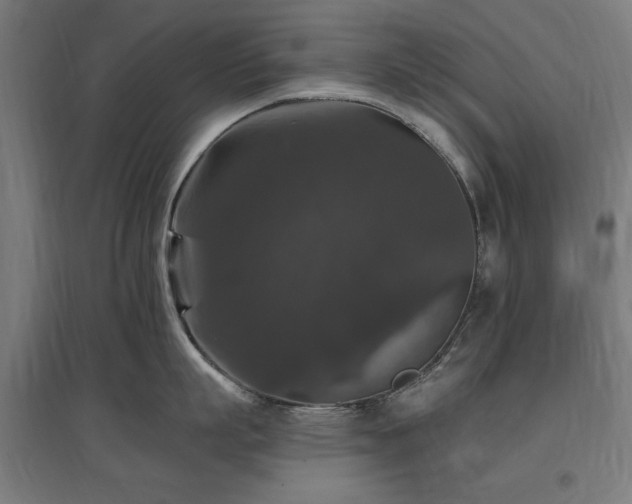 X0000096970863200802151307