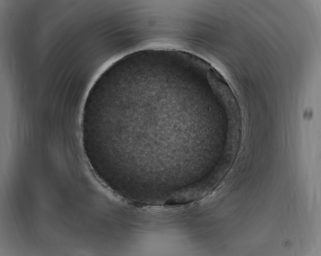 X0000096970864200802151307