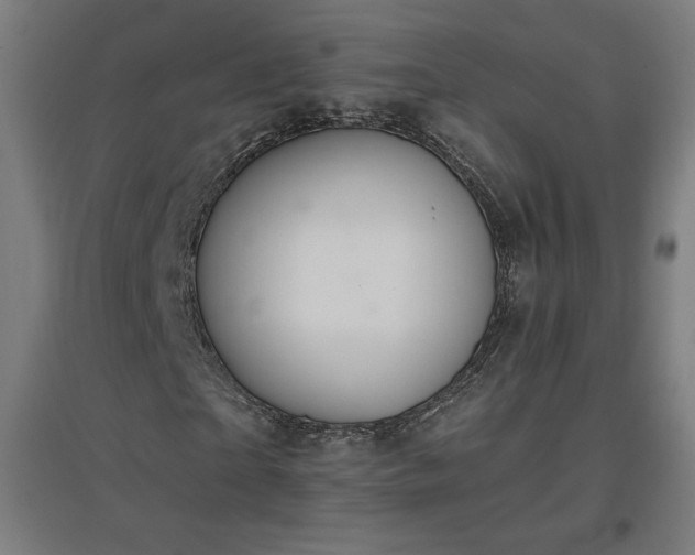 X0000096970865200802151306