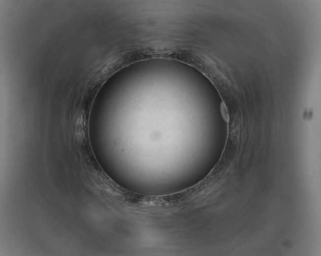 X0000096970866200802151306