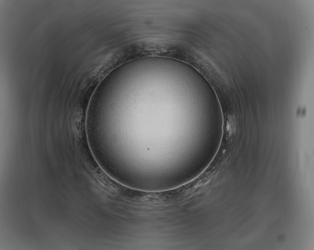 X0000096970867200802151306