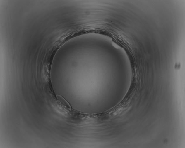 X0000096970868200802151306