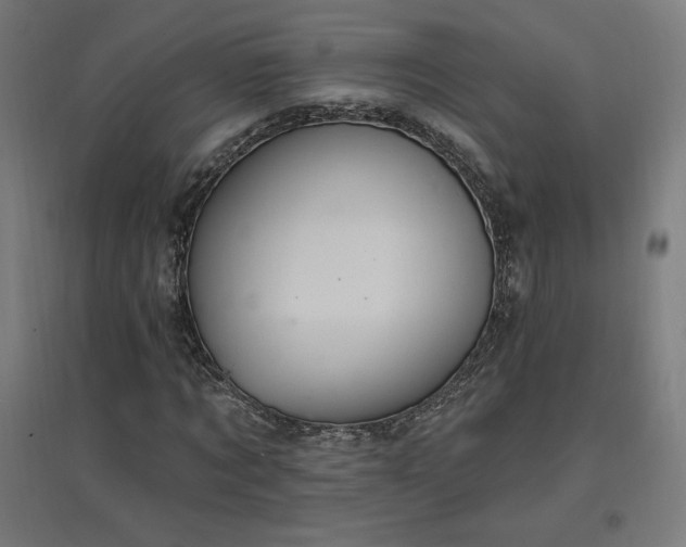 X0000096970869200802151306