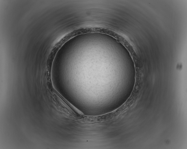 X0000096970871200802151306