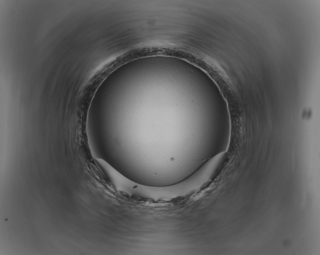 X0000096970872200802151306
