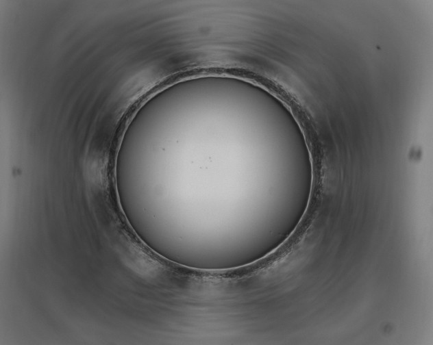 X0000096970873200802151306