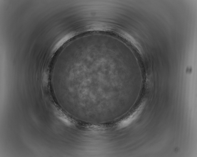 X0000096970874200802151306