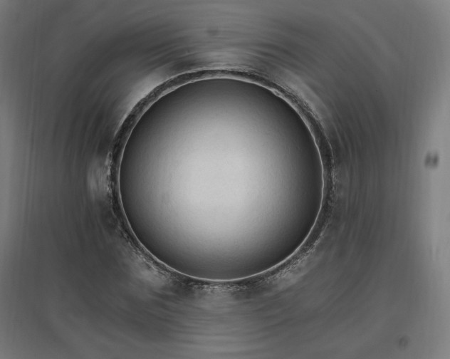 X0000096970875200802151306