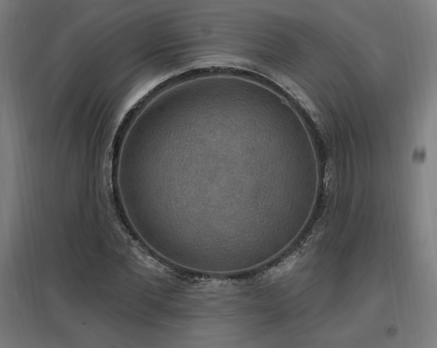 X0000096970877200802151306