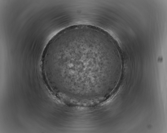 X0000096970879200802151306
