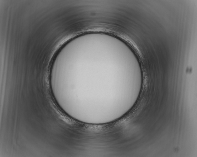 X0000096970882200802151306