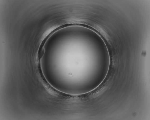 X0000096970885200802151306