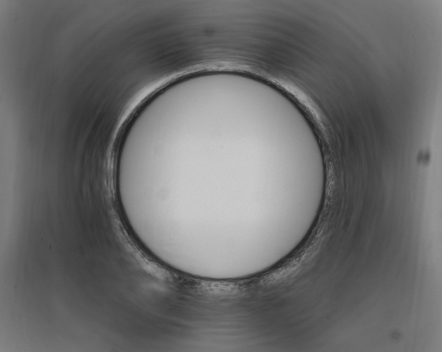 X0000096970886200802151306