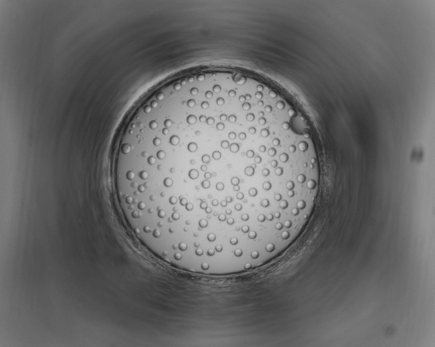 X0000096970887200802151306
