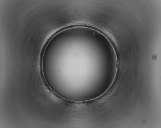 X0000096970888200802151306