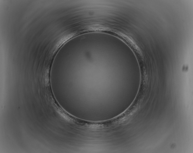 X0000096970889200802151306