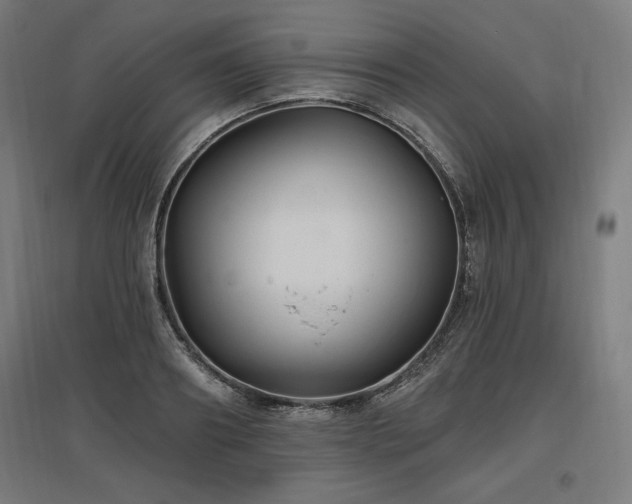X0000096970890200802151306