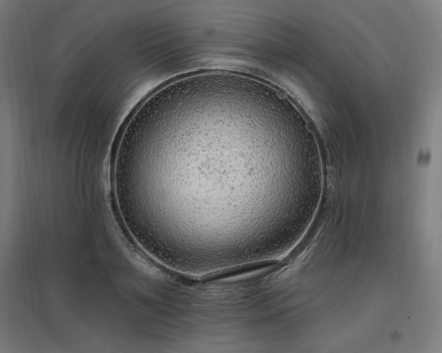 X0000096970891200802151306