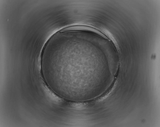 X0000096970892200802151306
